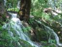 dsc02365.jpg