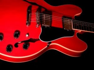 guitar_blues_electric_263163_l.jpg