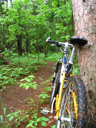 ottawa_foliage_bike_860826_l.jpg