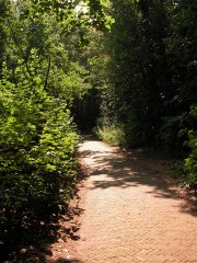 path_summer_warm_280404_m.jpg