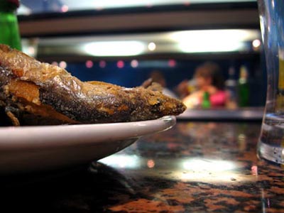 ribice