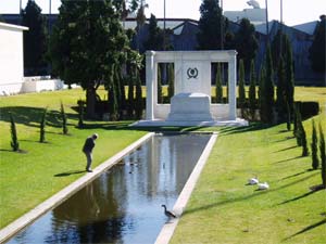 Hollywood Forever Pool