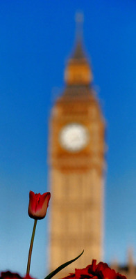 londonspring