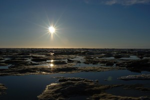 2645590772_f85954c364